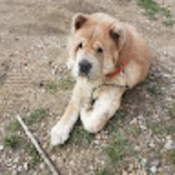 Meet your Posher, Jenn - Picture 1 of 1